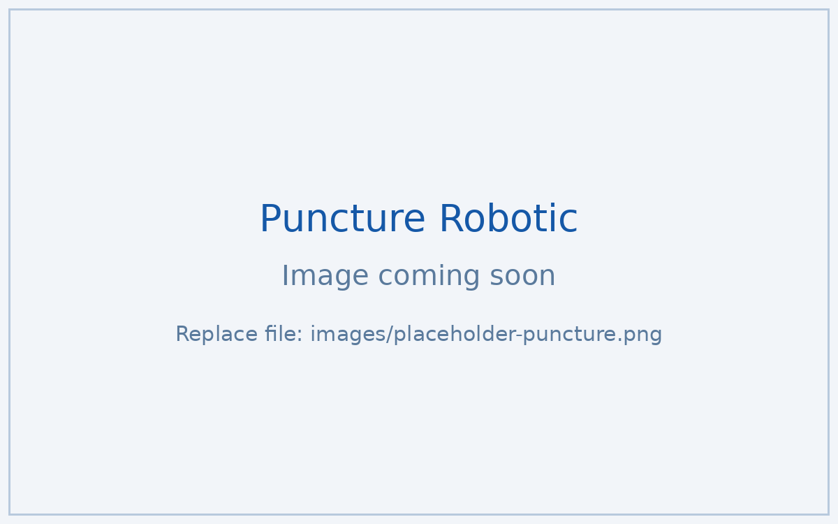 Puncture Robotics internship